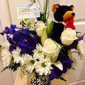 Meet your Posher, Princess